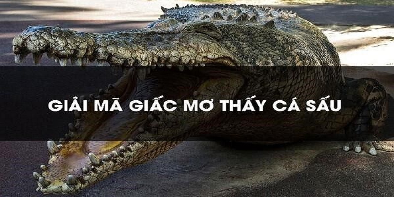 Giải mã giấc mơ nằm mơ thấy cá sấu