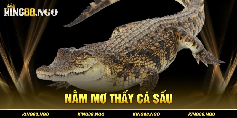 Nằm mơ thấy cá sấu