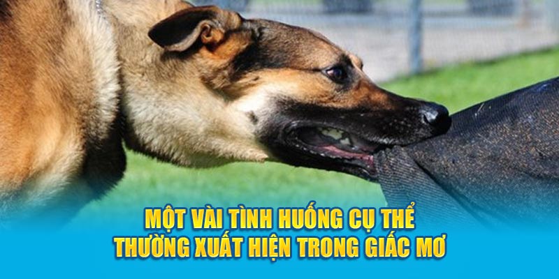 Một vài tình huống cụ thể thường xuất hiện trong giấc mơ