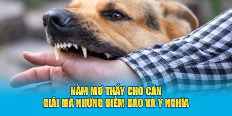 Chiêm bao thấy người quen bị chó cắn trong giấc mơ là điềm gì